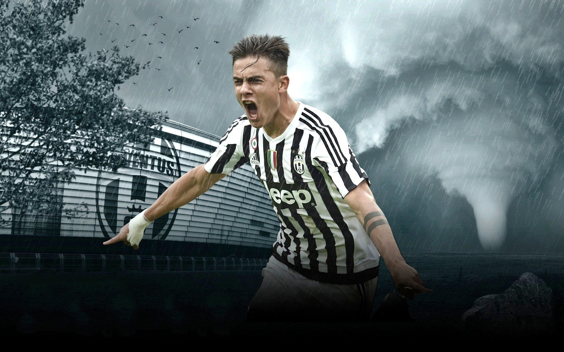 集体致敬 集体致敬